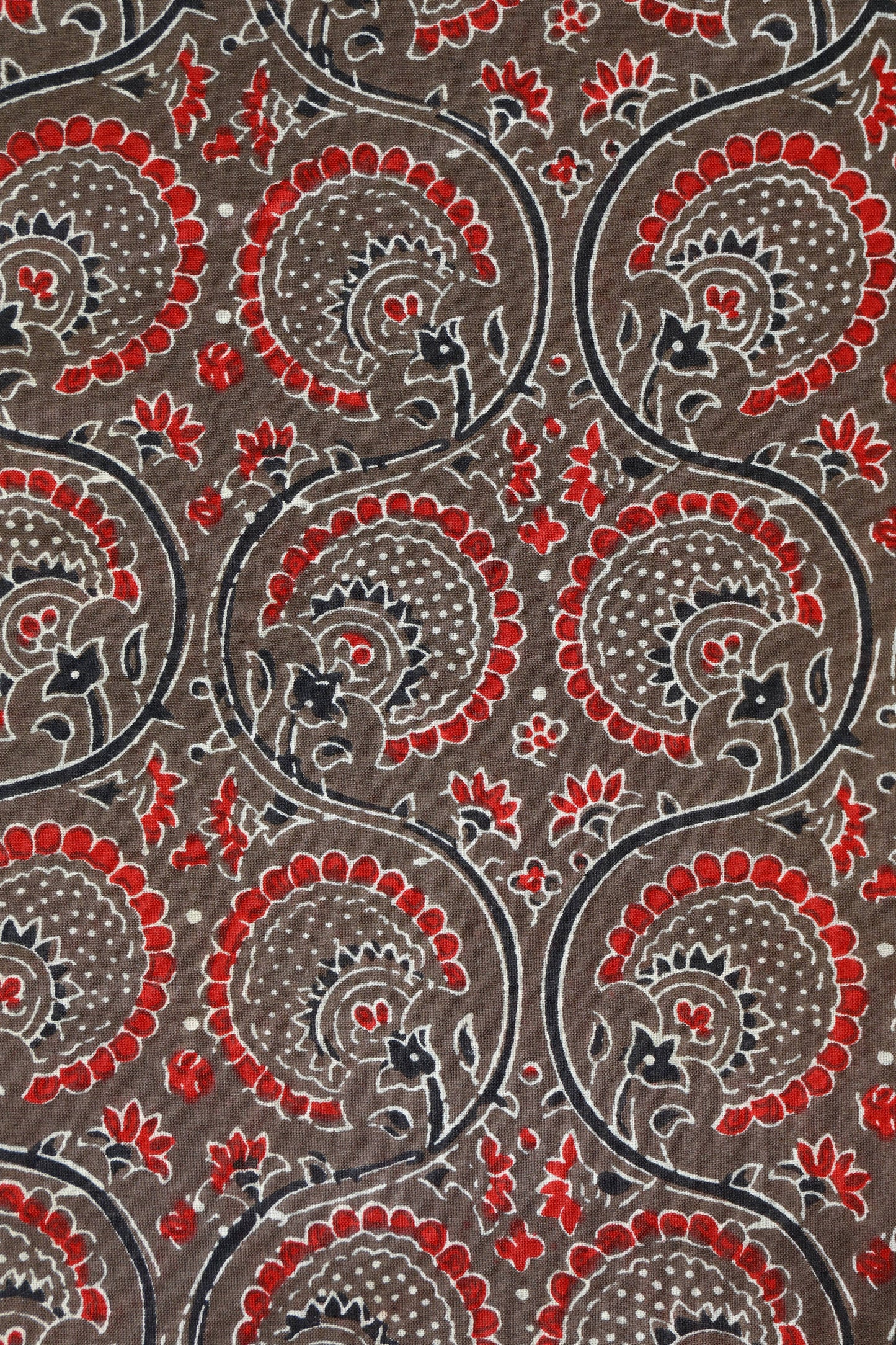 Printed Cotton Kalamkari Fabric - Rs 249/Metre